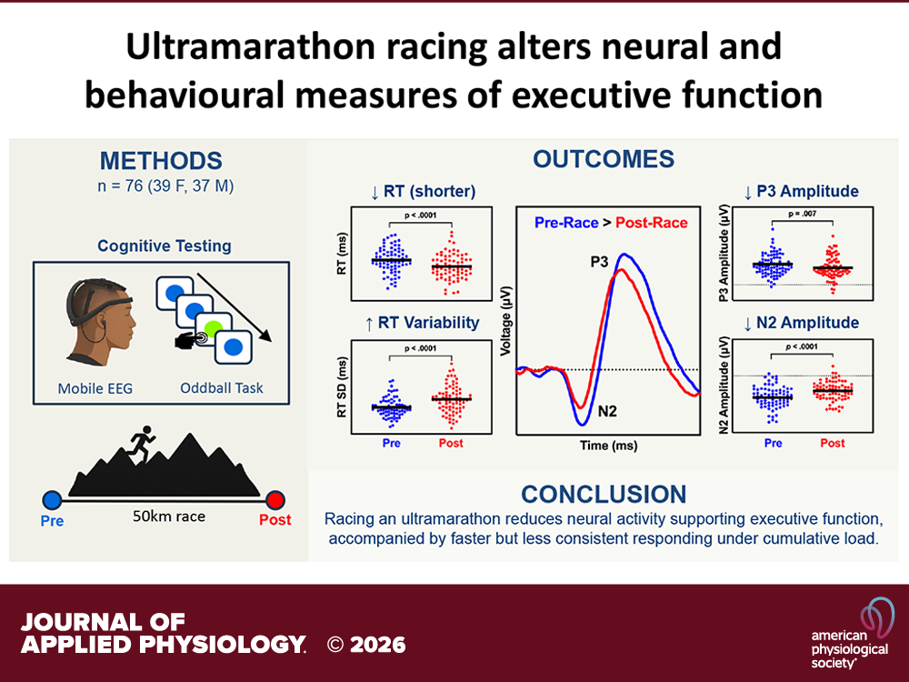 Graphical abstract showing study methods, EEG outcomes, and conclusion: ultramarathon racing reduces neural activity supporting executive function